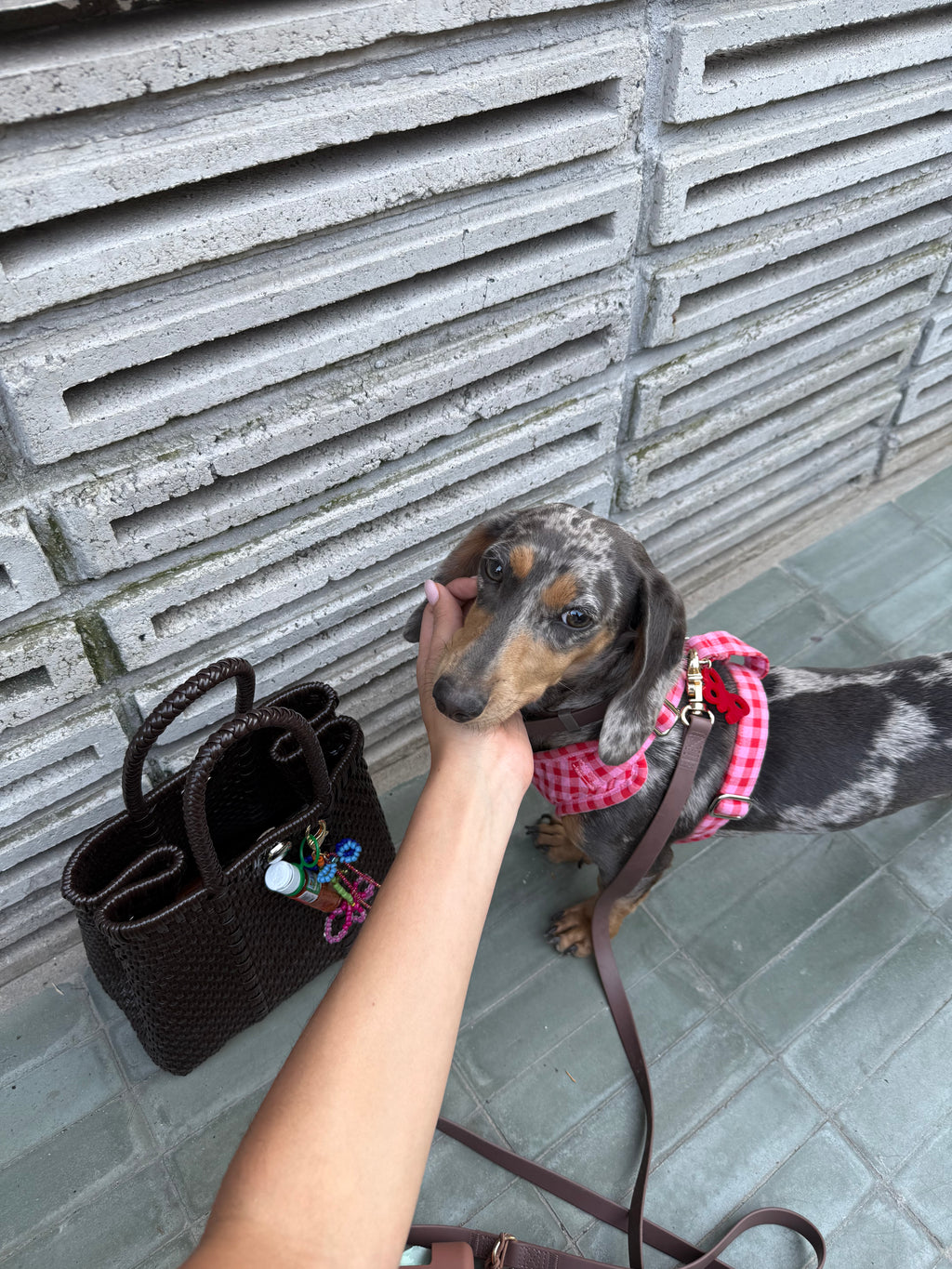 Bibi Bucket